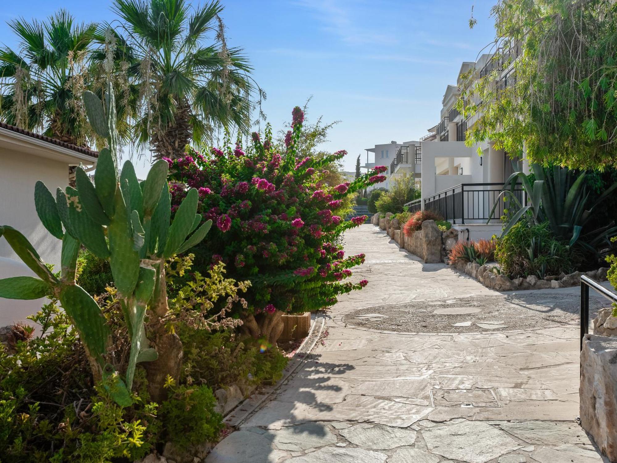 Sanders Seaview Klorakas المظهر الخارجي الصورة